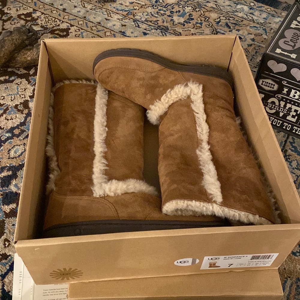 Chestnut Sundance Uggs